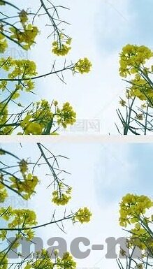 av麻豆免费电影-((以爱为核心的电影，跨越AV麻豆的旁观者视角))