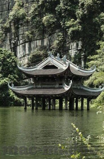 大象传媒国产剧情传媒-国产剧情传媒的独特魅力，大象传媒的深度剖析