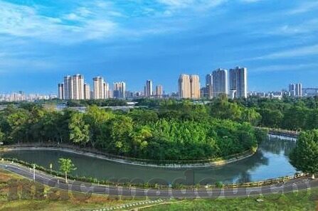 大象传媒合法吗-大象传媒，合法性探析与公众视野下的考量