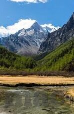 大象视频平台-大象视频平台，重塑数字娱乐新生态的革新力量