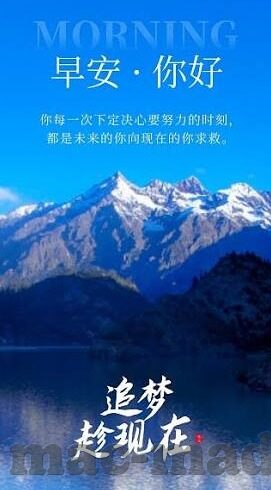国产av麻豆精品-国产动画新引领 —— 麻豆精品的创意与活力