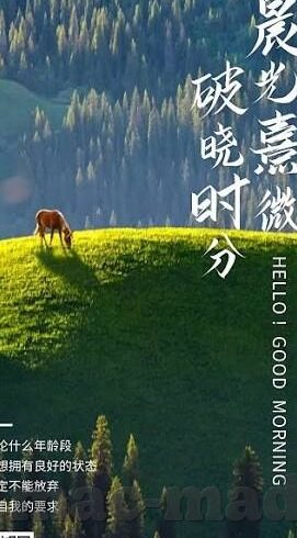 麻豆app会员兑换码-麻豆app会员福利盛行，解锁更多特权与精彩，会员兑换码大起底