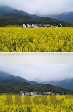糖心app下载地址-请选择健康的娱乐方式——远离不良APP诱惑