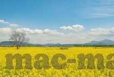 糖心app怎么玩的-糖心app畅玩指南，解锁互动娱乐新体验
