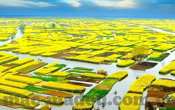 糖心视频私密版app-探索内容消费的新边疆，互联网视频平台的隐秘探索