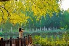 最近中文字幕电影-最近中文字幕电影的观影体验与文化探索
